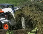 Bobcat S100 with pallet forks for landscaping – view 2